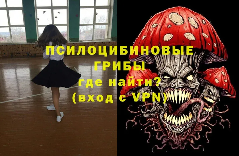 Псилоцибиновые грибы Psilocybe  Зерноград 